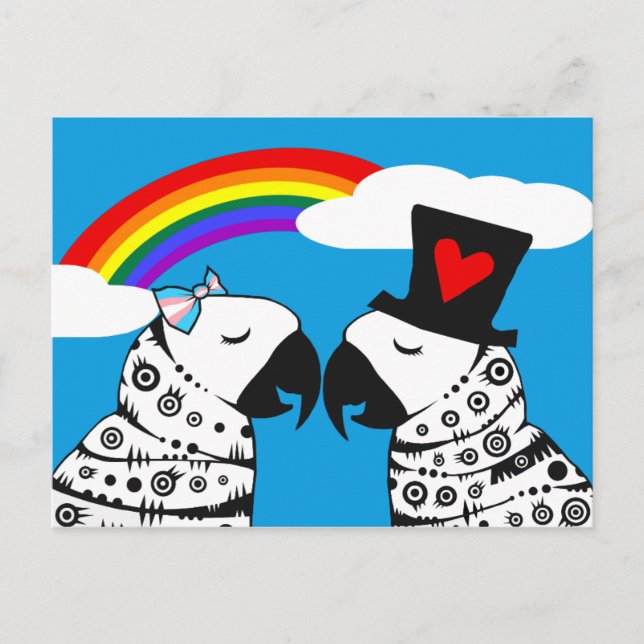 Transgender Parrot Girl med Boykompis Vykort (Framsida)