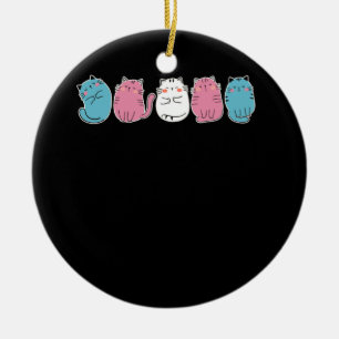 Transgender Pride Cat LGBT Community Trans Cu Julgransprydnad Keramik