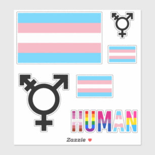 Transgender Pride Flag Utklippsdekaler Klistermärken