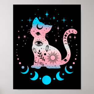 Transgender Pride Flagga Färg Cat Lovers Poster