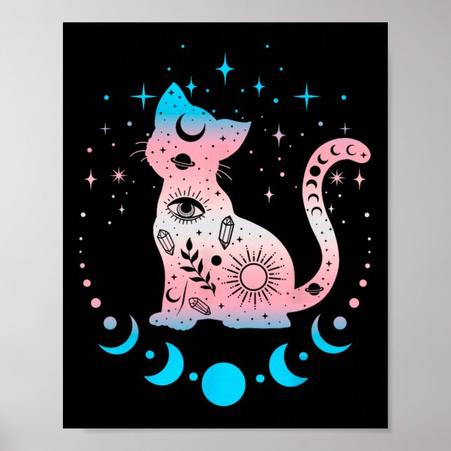 Transgender Pride Flagga Färg Cat Lovers Poster (Framsidan)
