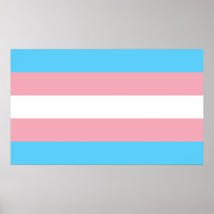 Transgender Pride Flagga - HBT Rainbow Poster