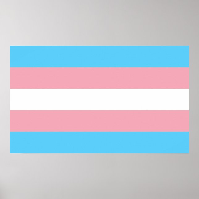 Transgender Pride Flagga - HBT Rainbow Poster (Framsidan)
