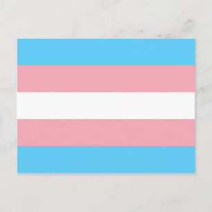 Transgender Pride Flagga - HBT Rainbow Vykort