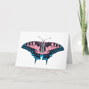 Transgender Pride Flagga Swallowtail Butterfly Kort