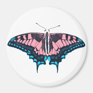 Transgender Pride Flagga Swallowtail Butterfly Magnet