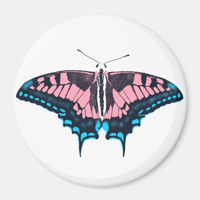 Transgender Pride Flagga Swallowtail Butterfly Magnet (Framsidan)