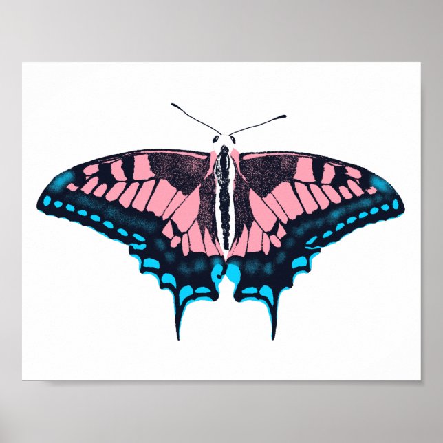 Transgender Pride Flagga Swallowtail Butterfly Poster (Framsidan)