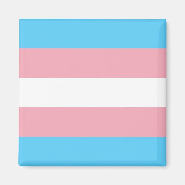 Transgender-Pride Magnet (Framsidan)