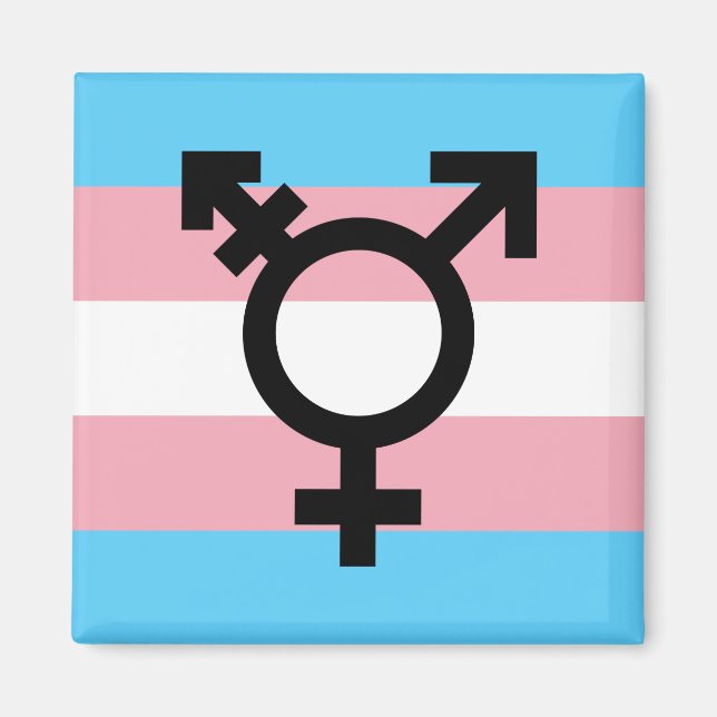 Transgender Pride Magnet (Framsidan)