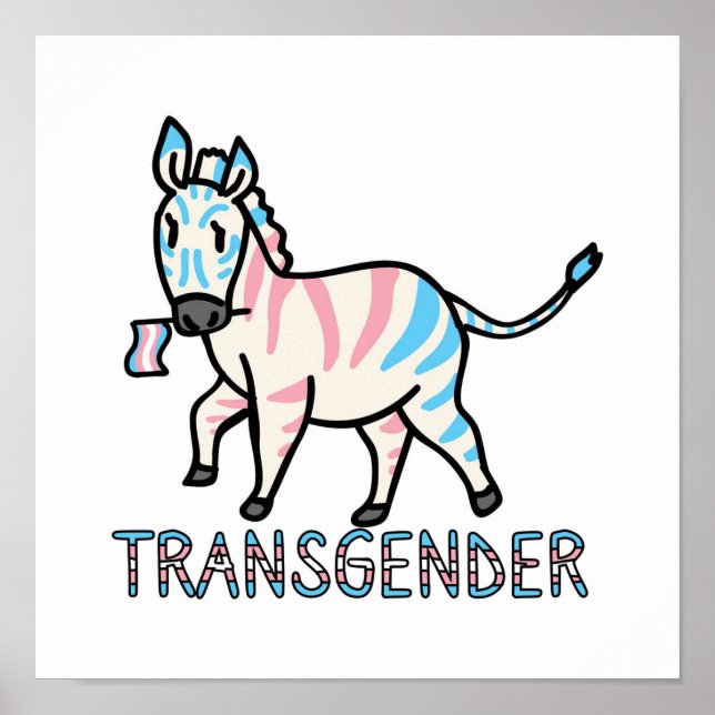 Transgender Zebra Poster (Framsidan)