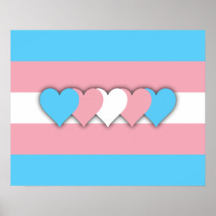 Transgenderflaggaaffisch Poster