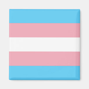 Transgenderprideflagga Magnet