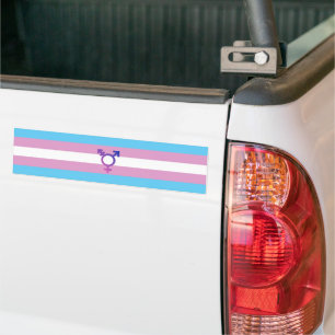 Transgenens Pride och symbol Bildekal