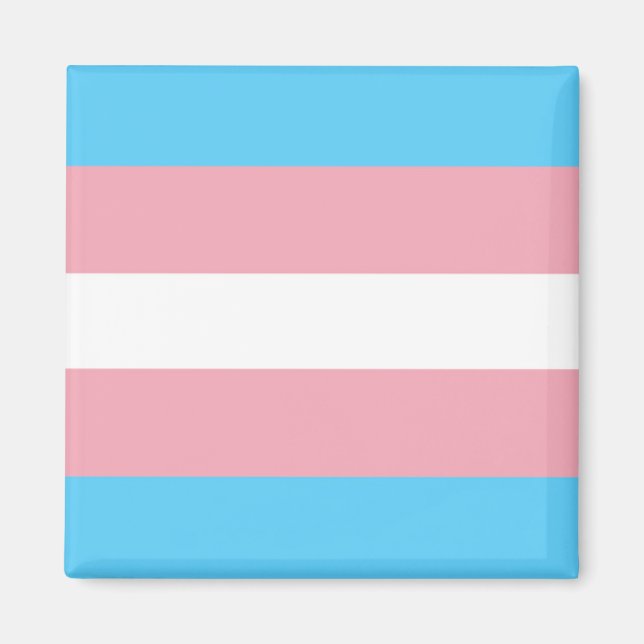 Transiterat Pride-Flagga Magnet (Framsidan)