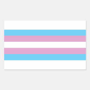 Transiterat Pride-Flagga Rektangulärt Klistermärke