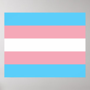 Transiterat Pride (Transgender Pride)-Flagga Poster