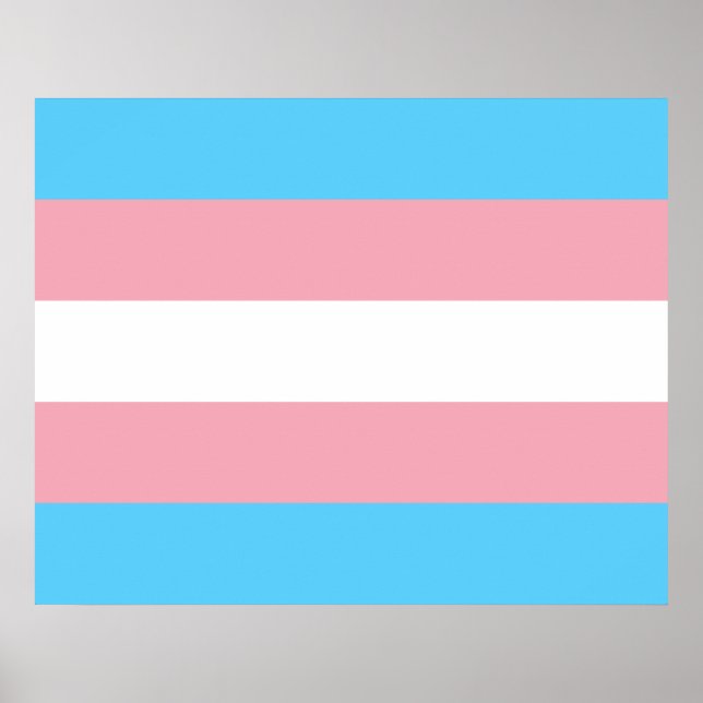 Transiterat Pride (Transgender Pride)-Flagga Poster (Framsidan)