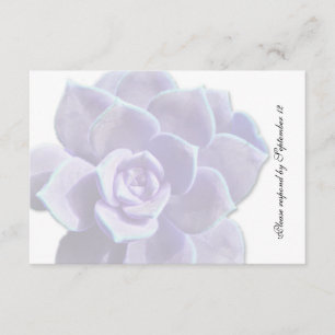 Translucent Lilac Succulent Vintage osa Kort
