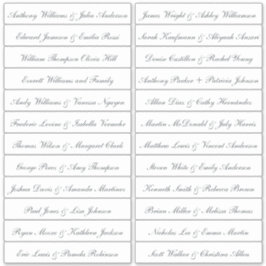 Transparenta etiketter för namn på kalligrafiefält