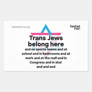 Transpersoner som är judar hör hemma överallt rektangulärt klistermärke
