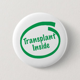 Transplantatinsida Knapp