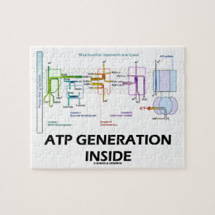 Transport för elektronen för ATP-generationen Pussel