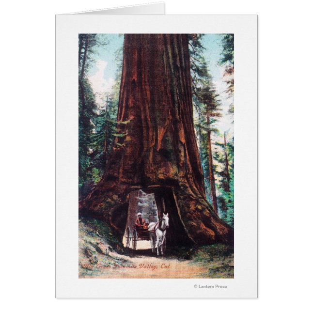 Transport under giant Redwood Hälsningskort (Framsidan)