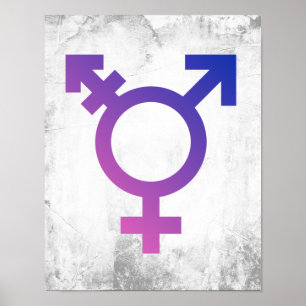 TransPridets symbol Poster