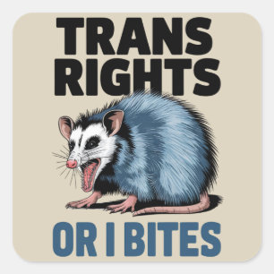 Transrättigheter eller jag bits gay rolig lgbtq-pr fyrkantigt klistermärke