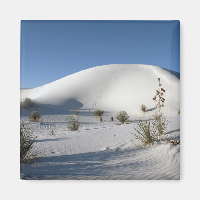 Transverse Dunes och Soaptree Yucca Magnet (Framsidan)