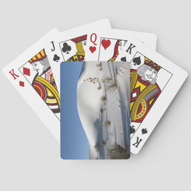 Transverse Dunes och Soaptree Yucca Spelkort (Baksidan)