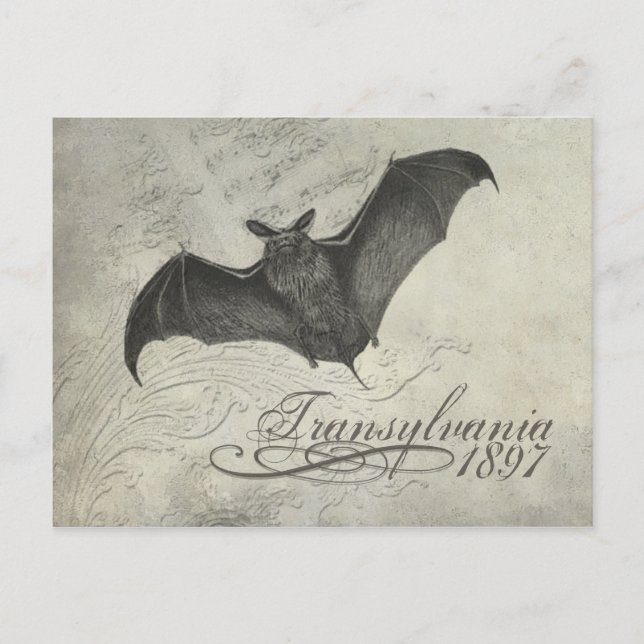 Transylvania 1897 Fladdermus kollage Post Card Hal Vykort (Framsida)
