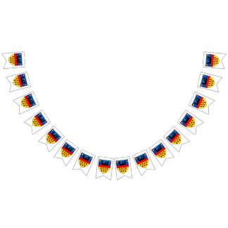 Transylvania flaggor