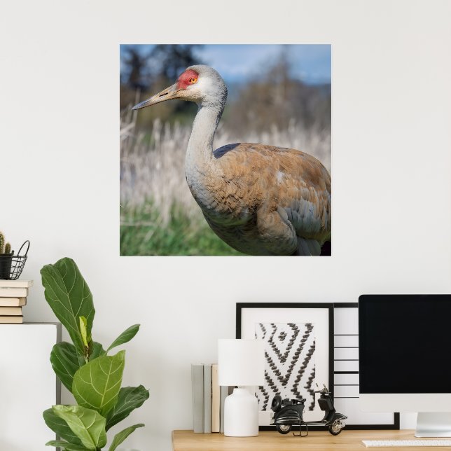 Tranvy av kran poster (Hemmakontoret)