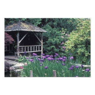 Träpaviljong i Sunken Garden i Fototryck