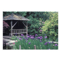 Träpaviljong i Sunken Garden i