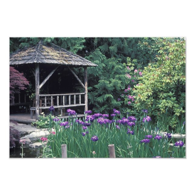 Träpaviljong i Sunken Garden i Fototryck (Framsidan)