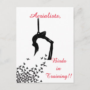 Trapeze Swing Aerialists Vykort