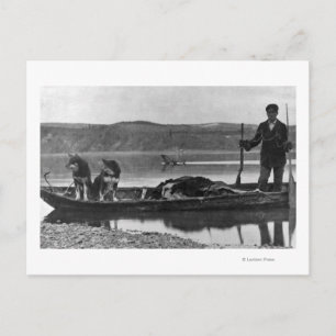 Trapper på Canoe med Gömt och Hundar Alaska Vykort