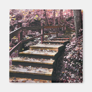 trappor dreamscape magnet