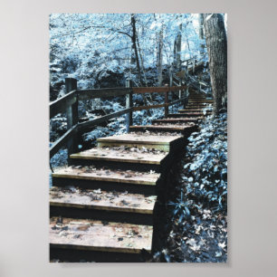 trappor nightscape poster