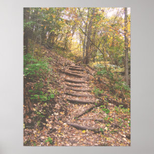 Trappor till skogen poster