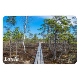 Träråg över svampmagnet magnet