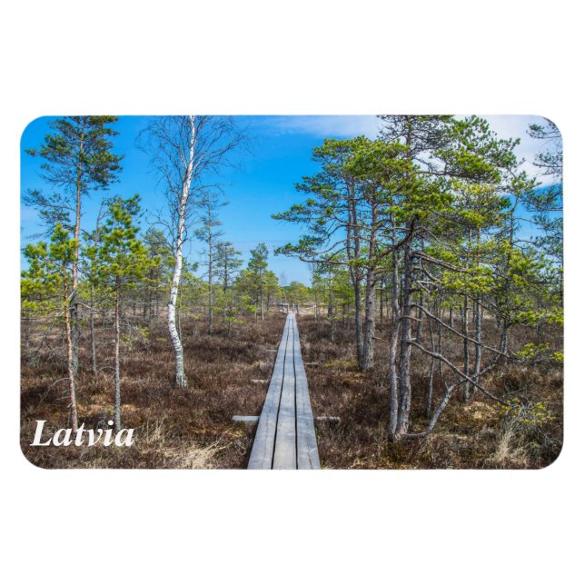 Träråg över svampmagnet magnet (Horisontell)