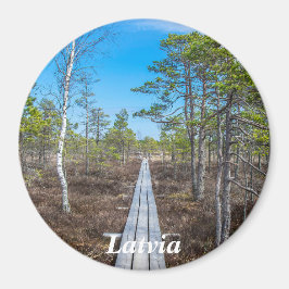 Träråg över svampmagnet magnet