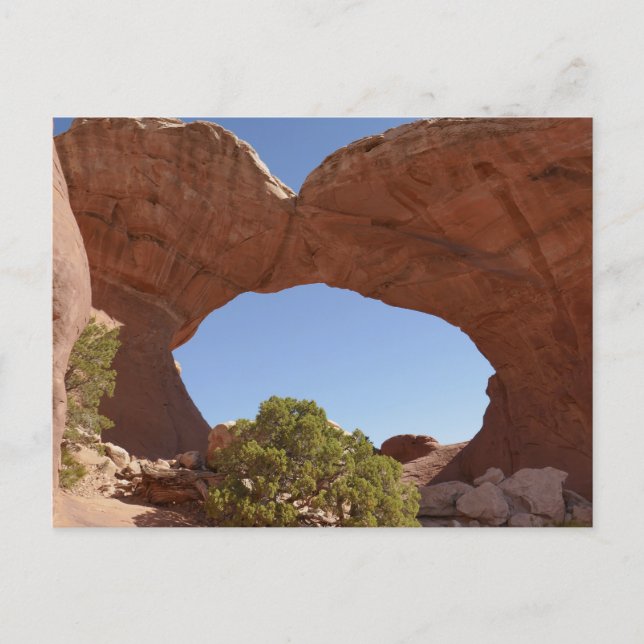 Trasig Båge vid Arches National Park Vykort (Framsida)