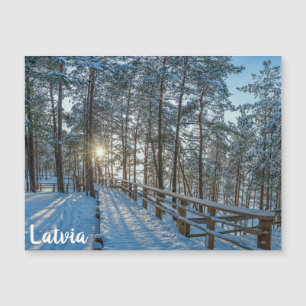 Träskog väg över snöskog