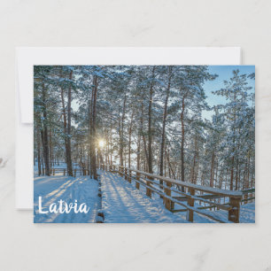 Träskog väg över snöskog
