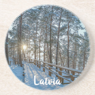 Träskog väg över snöskog underlägg